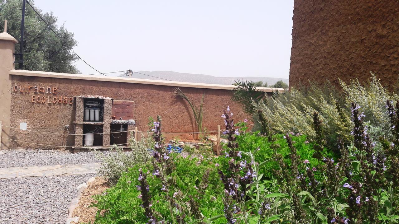 Ouirgane Ecolodge Екстериор снимка
