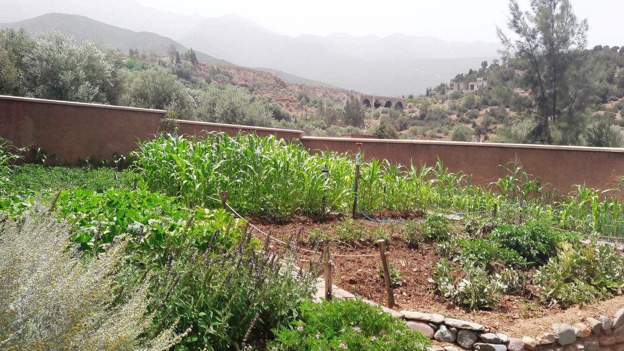 Ouirgane Ecolodge Екстериор снимка