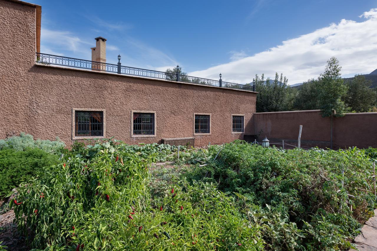 Ouirgane Ecolodge Екстериор снимка
